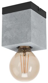 Eglo 43595 - Stropné svietidlo PRESTWICK 1xE27/40W/230V