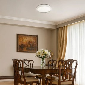 Stropné LED svietidlo Vigo, 1x LED 24w, 4000k, (fi 38cm), w