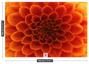 Fototapeta Vliesová Kvetina 104x70 cm