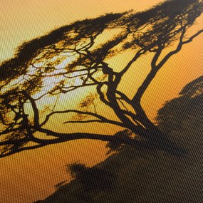 Obraz - Africká savana (150x105 cm)