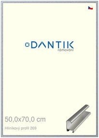 DANTIK rám na obraz 50x70 | ALU Sstříbrná broušená (Plexi Čiré)