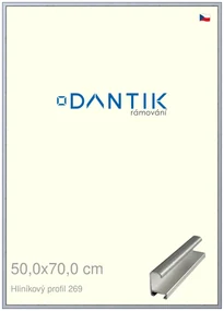 DANTIK rám na obraz 50x70 | ALU Sstříbrná broušená (Plexi Čiré)