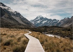 Obraz - Chodník v údolí hory Mt. Cook (70x50 cm)