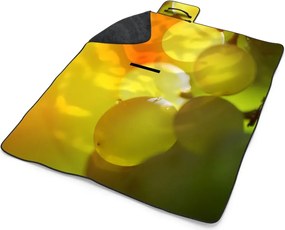 Sablio Plážová deka Hroznové víno: 200x140 cm