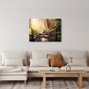 Sklenený obraz tigra (70x50 cm)