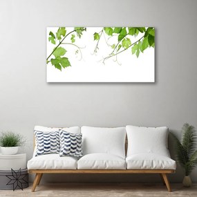 Obraz Canvas Vetvy listy príroda kvety 120x60 cm
