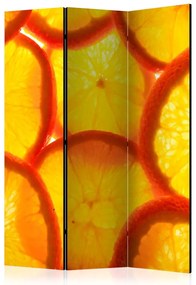 Artgeist Paraván - Orange slices [Room Dividers]
