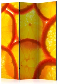 Artgeist Paraván - Orange slices [Room Dividers]