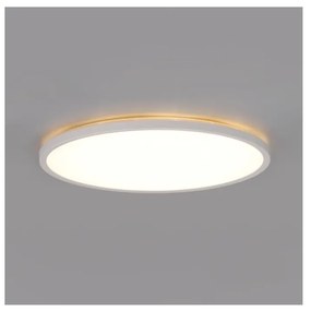 LED kúpeľňové stropné svietidlo NIVERA LED/12W/230V IP54 pr. 22,5 cm biele