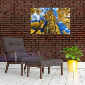 Obraz - Aspen (90x60 cm)
