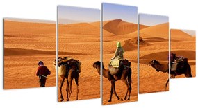 Ťavy v púšti - obraz