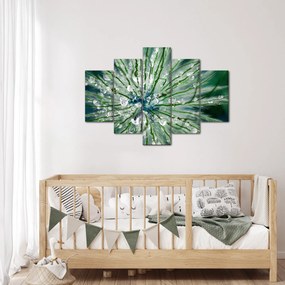Obraz - Makro snímka kvetu (150x105 cm)