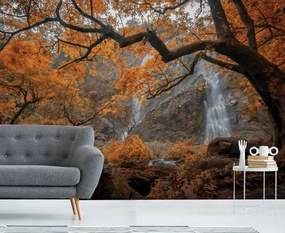 Manufakturer -  Tapeta Autumn waterfall