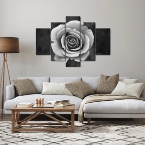 Obraz ruže (150x105 cm)