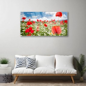 Skleneny obraz Lúka kvety príroda 125x50 cm