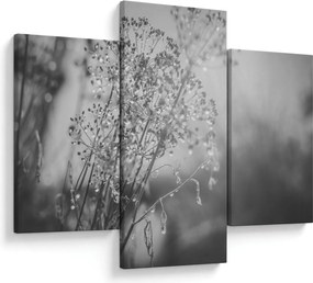 Obraz - Lúka po daždi (90x60 cm)