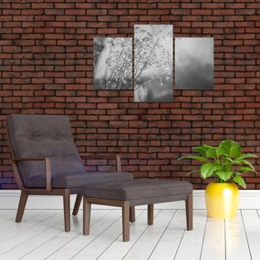 Obraz - Lúka po daždi (90x60 cm)
