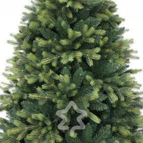 Smrek Kvitnúci extra hustý 180 cm