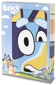 Obliecky Disney Bluey 140x200cm+90x70cm Faro