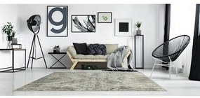 Sivý koberec 240x330 cm Soft – FD
