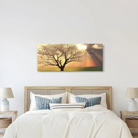 Obraz stromu na lúke (120x50 cm)