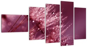 Obraz prírody - makrá