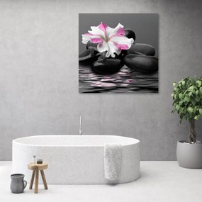 Obraz na plátně, Kameny růžové květ zen - 40x40 cm