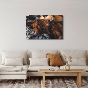 Obraz ležiacich psov (90x60 cm)