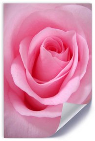 Gario Plagát Romantická ruža Farba rámu: Bez rámu, Veľkosť: 20 x 30 cm