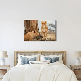 Obraz - dve levice (90x60 cm)