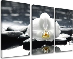 Obraz na stenu 3 dielny FENG SHUI FS018E30