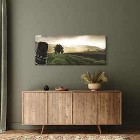 Obraz lúky (120x50 cm)
