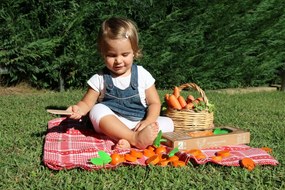 Milaniwood - Nakrájajte mrkvu