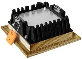 APLED - LED Podhľadové SQUARE WOODLINE LED/3W/230V 3000K 9x9 cm jaseň masív