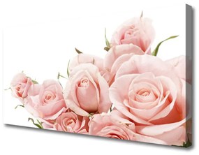 Obraz na plátne Ruže kvety rastlina 140x70 cm
