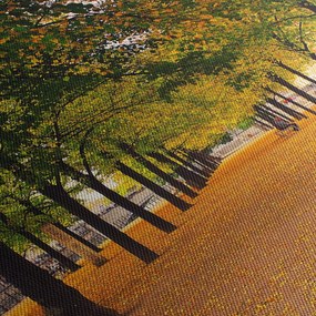 Obraz aleje jesenných stromov (90x60 cm)