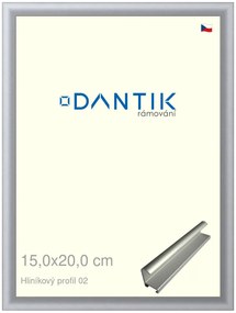 DANTIK rám na obraz 15x20 | ALU Stříbrná matná (Sklo Čiré)