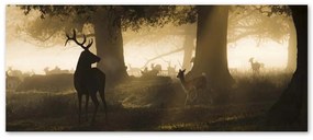Obraz na plátně, Jelen v lese Fog Brown - 90x30 cm