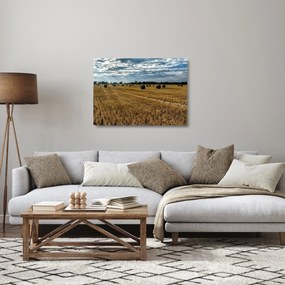 Sklenený obraz zozbieraného obilného poľa (70x50 cm)