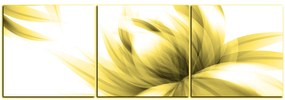 Obraz na plátne - Elegantný kvet - panoráma 5147ZB (150x50 cm)