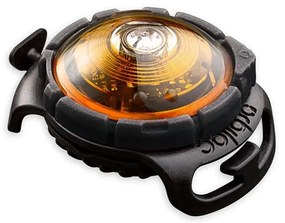 LED svetlo na obojok Yellow – Orbiloc