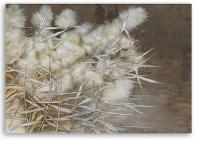 Obraz na plátně, Cane Boho tráva - 100x70 cm