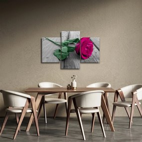 Obraz - Ružová ruža so zelenou stonkou (90x60 cm)