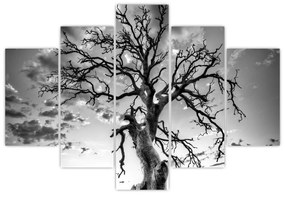 Obraz - Čiernobiely strom (150x105 cm)