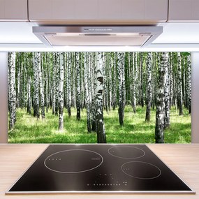 Sklenený obklad Do kuchyne Les tráva rastlina príroda 125x50 cm