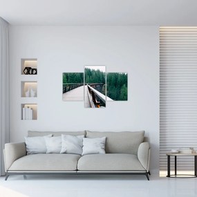 Obraz - Most k vrcholkom stromov (90x60 cm)