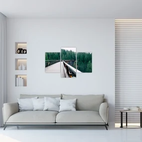 Obraz - Most k vrcholkom stromov (90x60 cm)