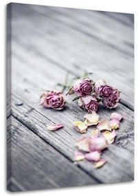 Obraz na plátně Květiny Růže Podlahová prkna Příroda - 60x90 cm