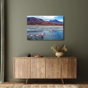 Obraz - Plameniaky (90x60 cm)