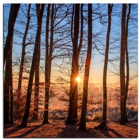 Obraz na plátne - Jesenné ráno v lese - štvorec 3251A (80x80 cm)